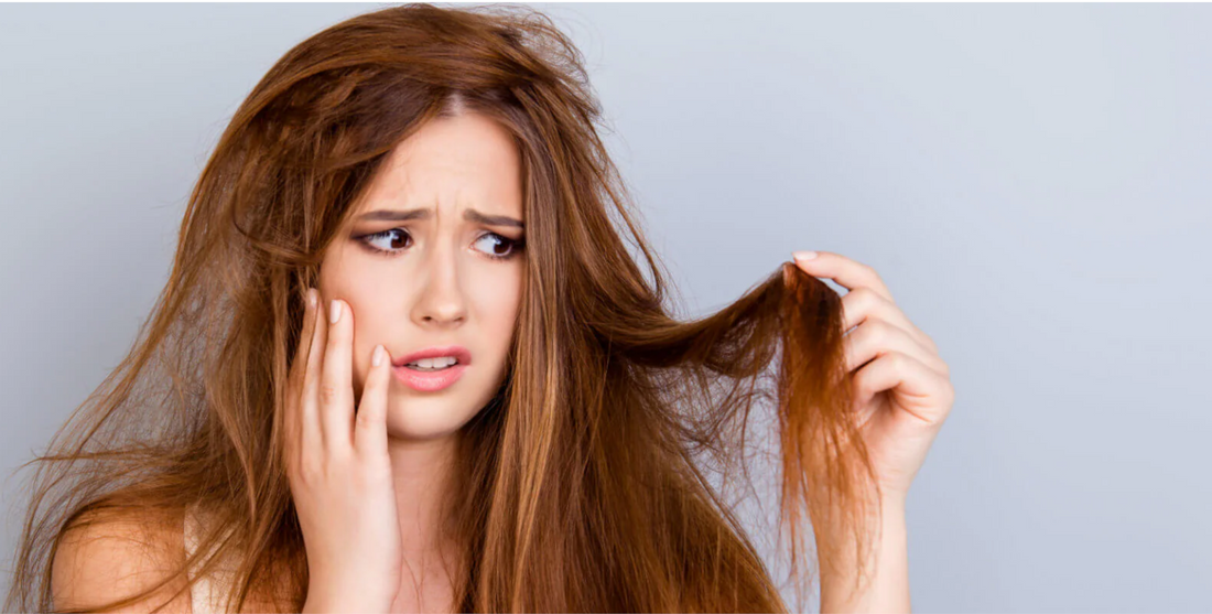 ¿Tu cabello presenta signos de daño y porosidad?