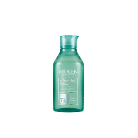 Redken Amino Mint Shampoo