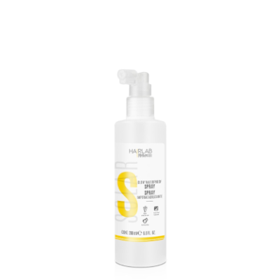 Salerm Cosmetics Spray Impermeabilizante 210ml